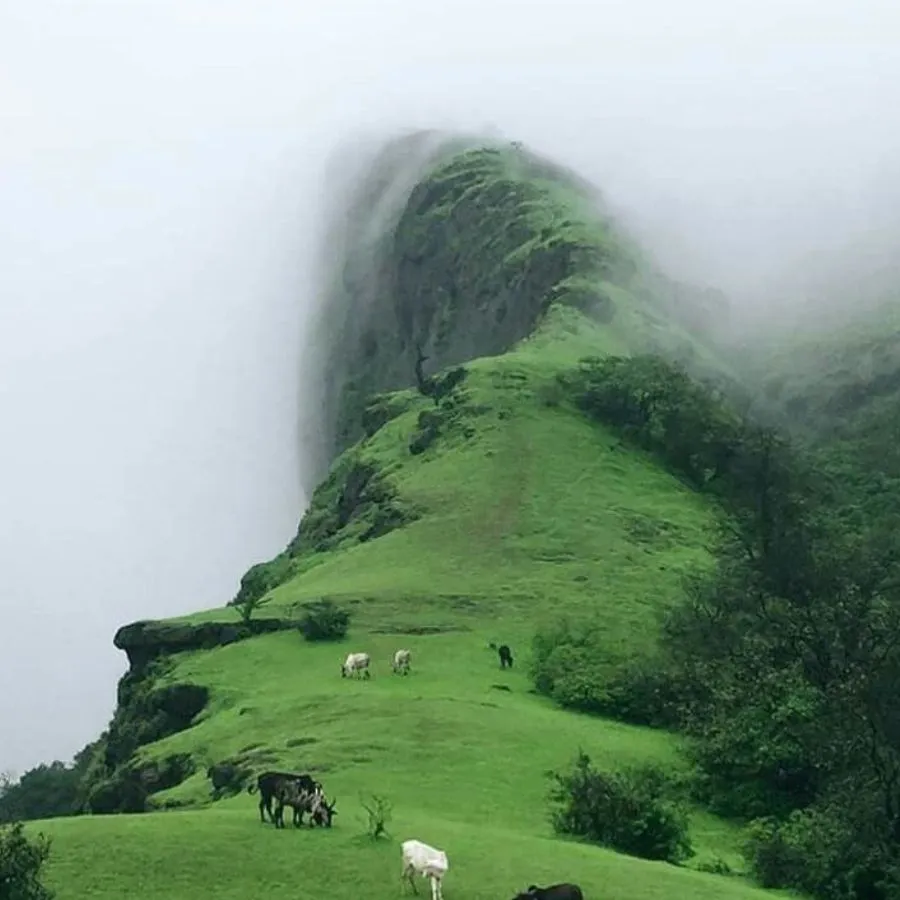lonavala