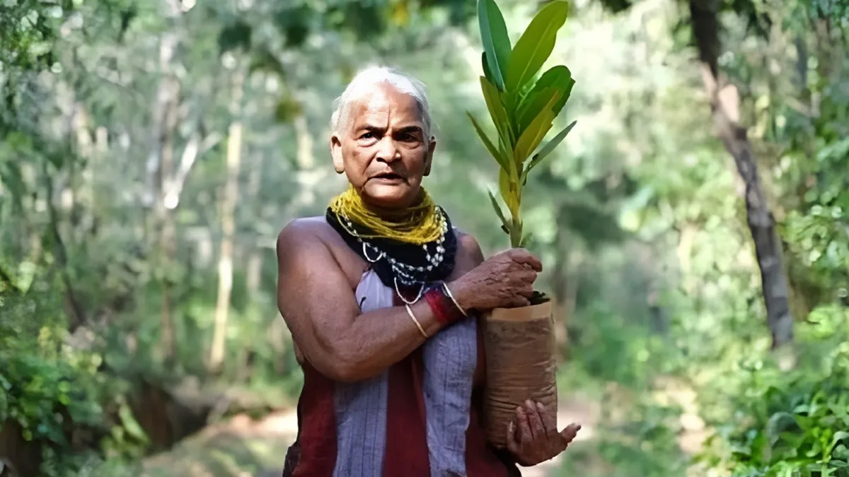 Who Was Tulsi Gowda? The ‘Encyclopedia Of Forests’ Who Nurtured Thousands Of Trees Without Formal Education