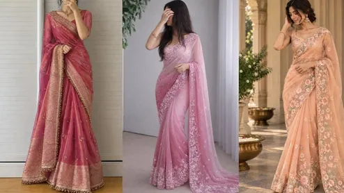 Pink Saree Shades