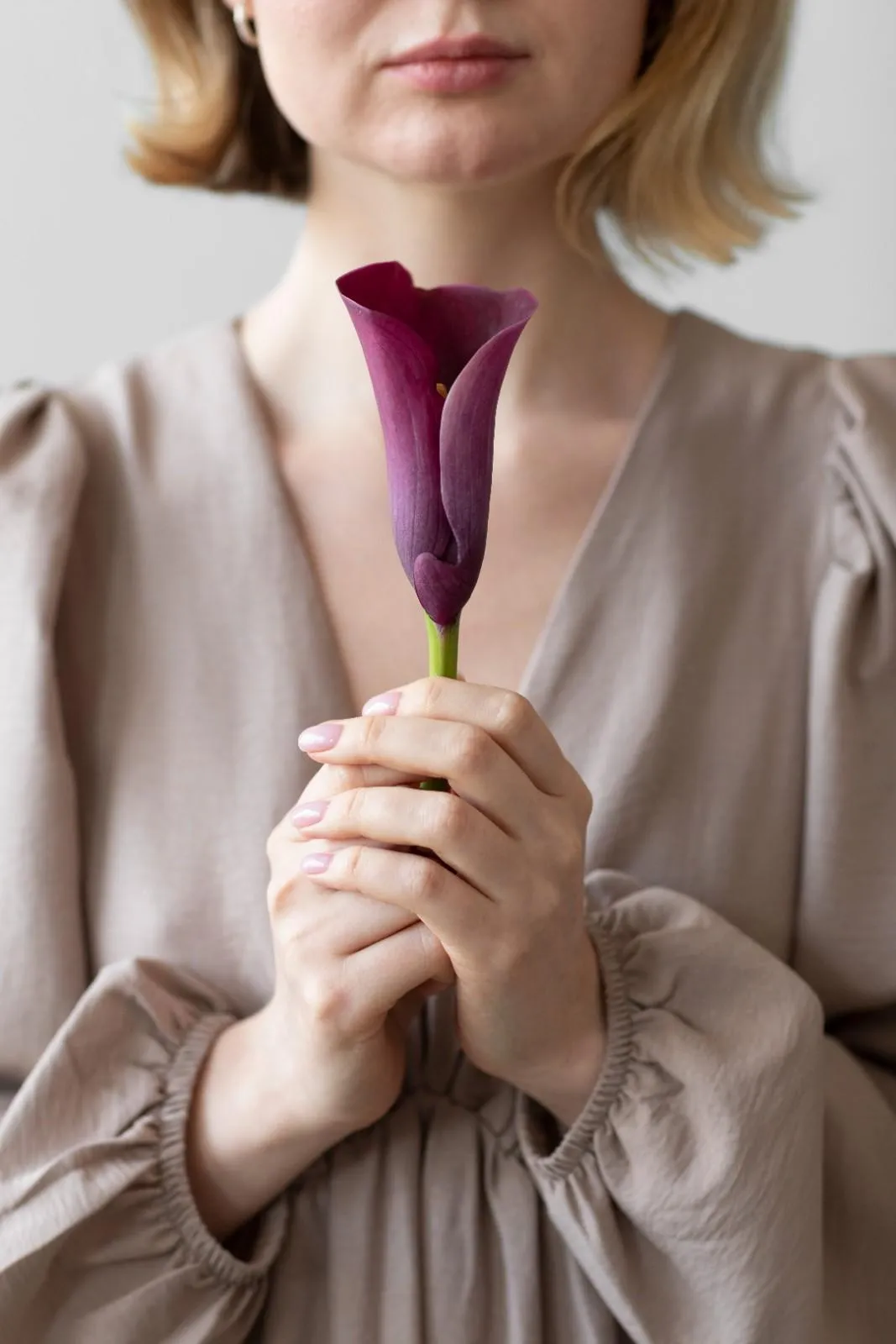 world menopause