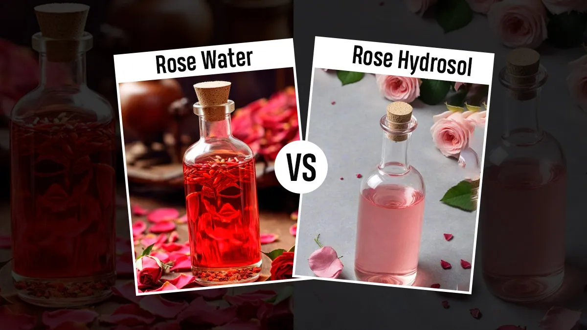 Rose Water vs Rose Hydrosol For Skin: Distillation, Purity And How To Choose