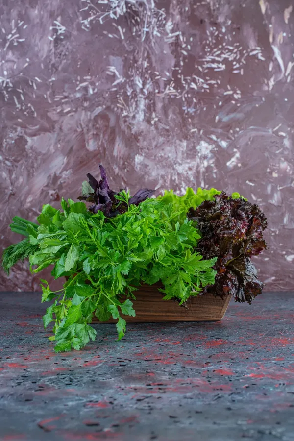 Microgreens in Kitchen