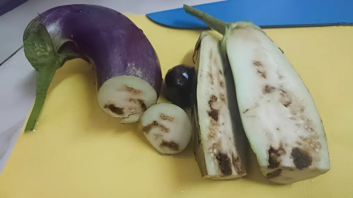 Does Your Brinjal Have Hidden Worms? Here’s How To Spot Them Before Cooking