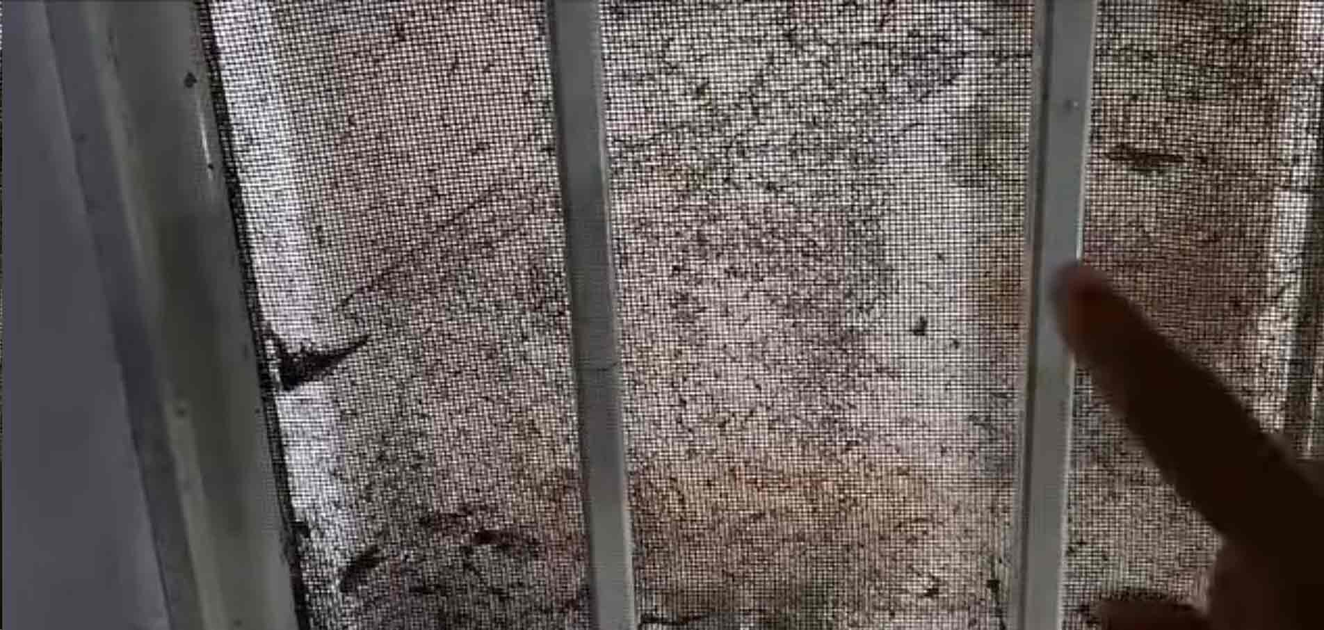 kitchen grill cleaning process