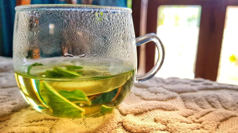 Shyama Tulsi benefits