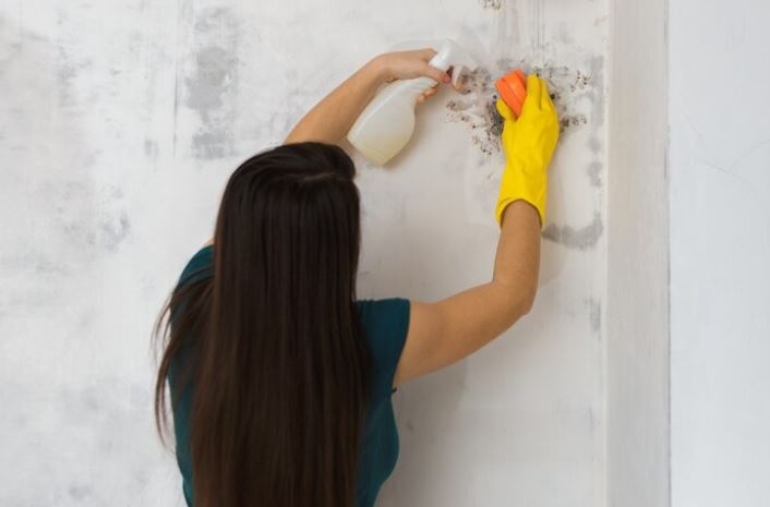 wall cleaning tips