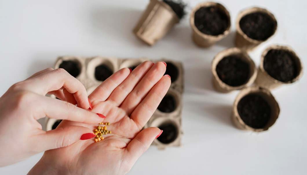 amazing gardening hacks around the world2