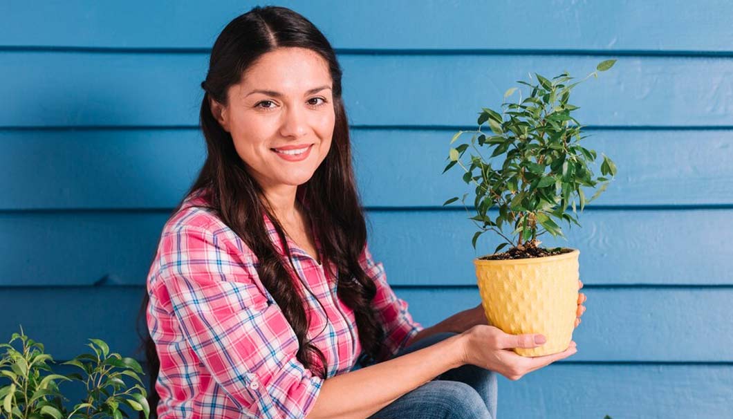 amazing gardening hacks around the world3