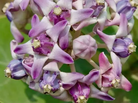 navbharat-times-84781389