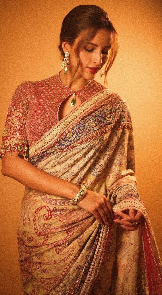 Saree look tripti dimri (2)