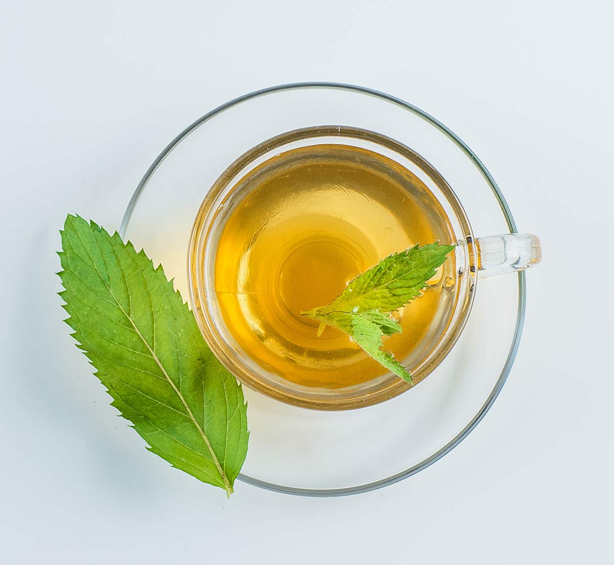 green-tea-for-weight-loss