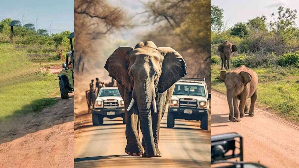 karnataka nagarhole national park ticket price time and all details