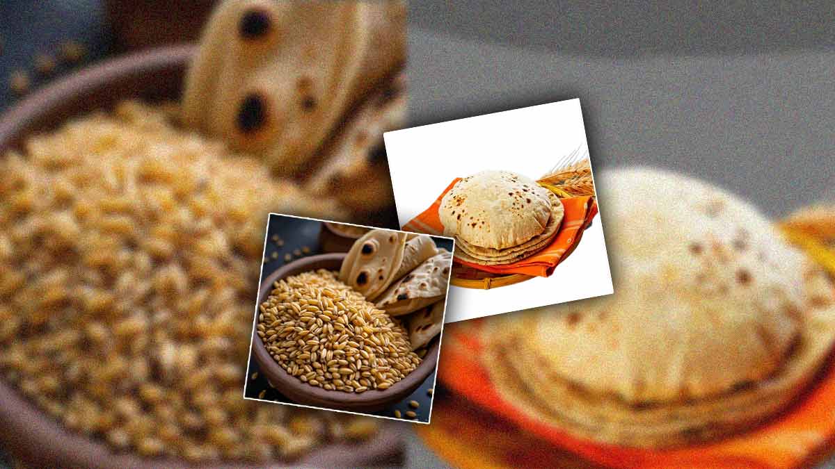 क्या गेहूं खाने से बढ़ता है वजन? एक्सपर्ट से जानें इसके फायदे और नुकसान does eating wheat