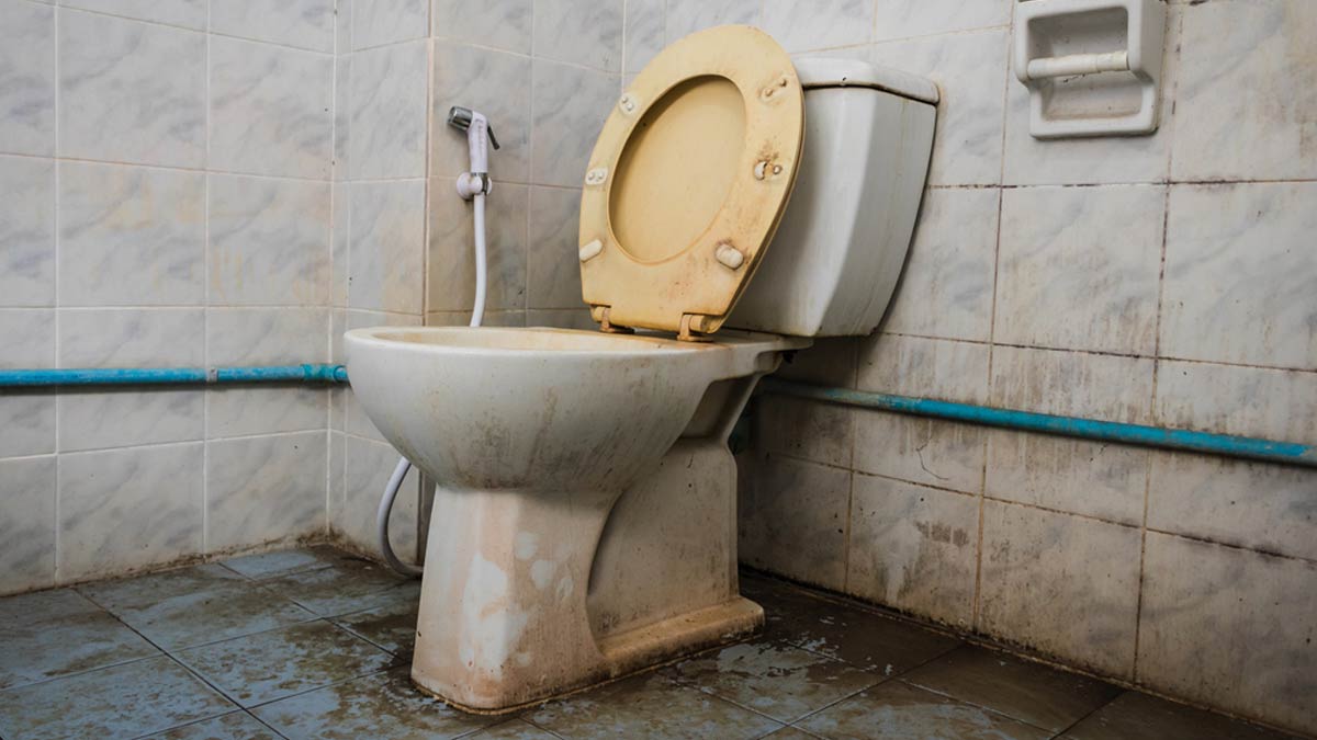 toilet cleaning tips in hindi