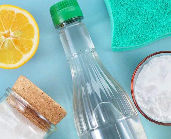 How to get rid of flies in the office quickly