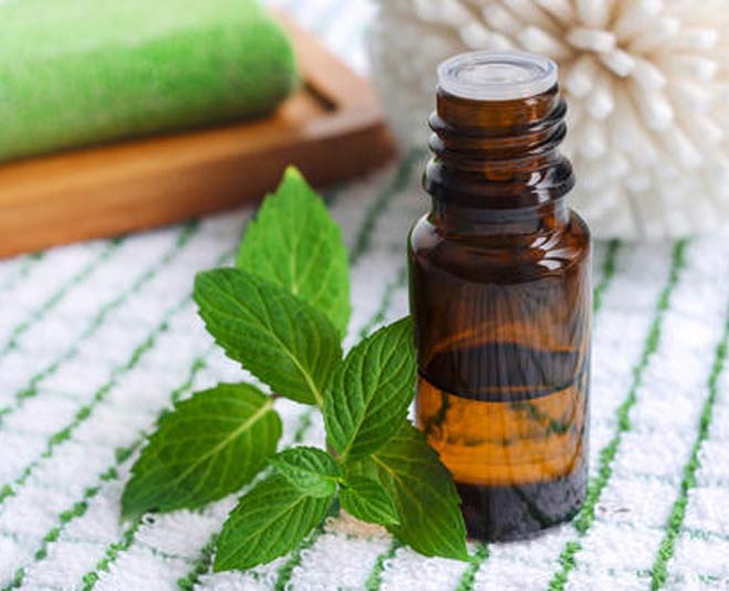 How to get rid of flies in the office quickly with mint