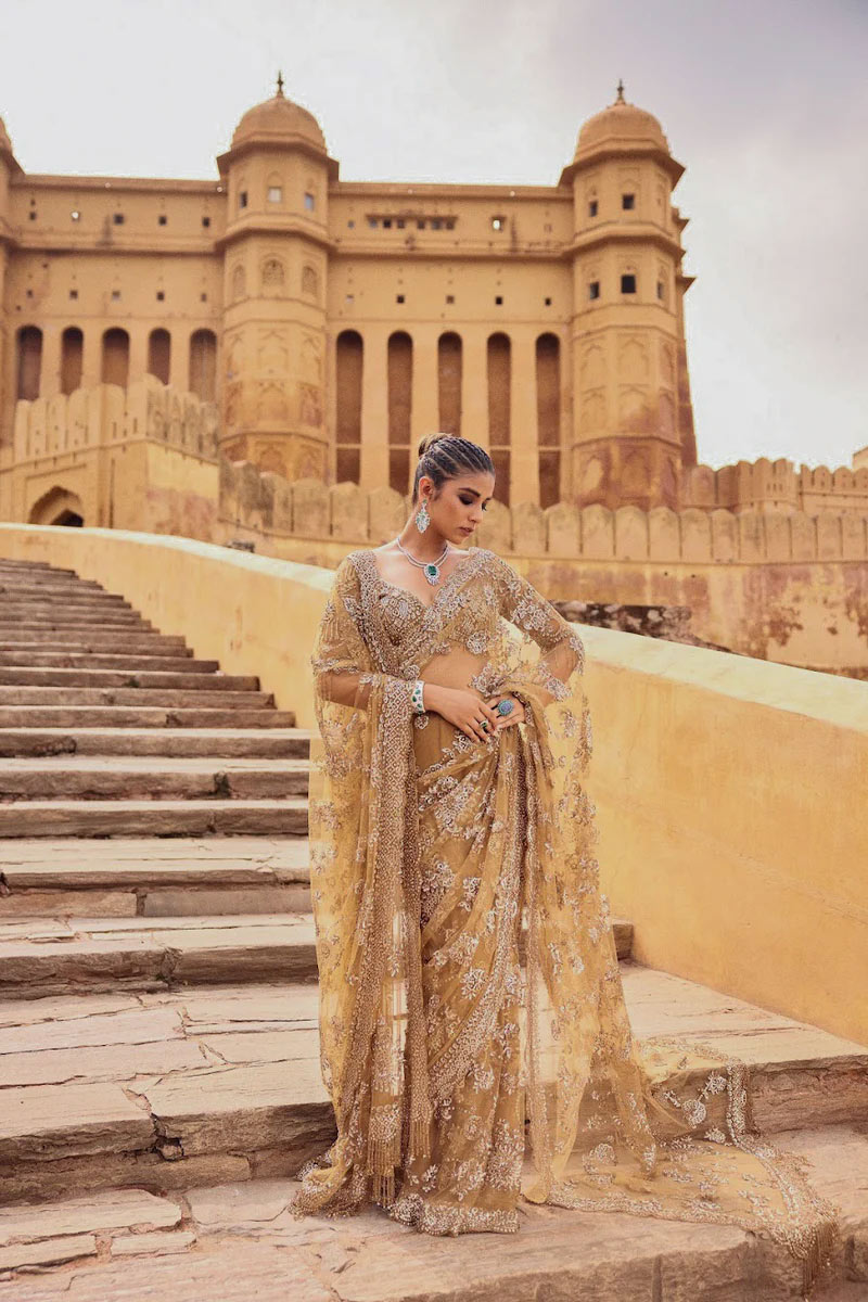 net saree with duptta