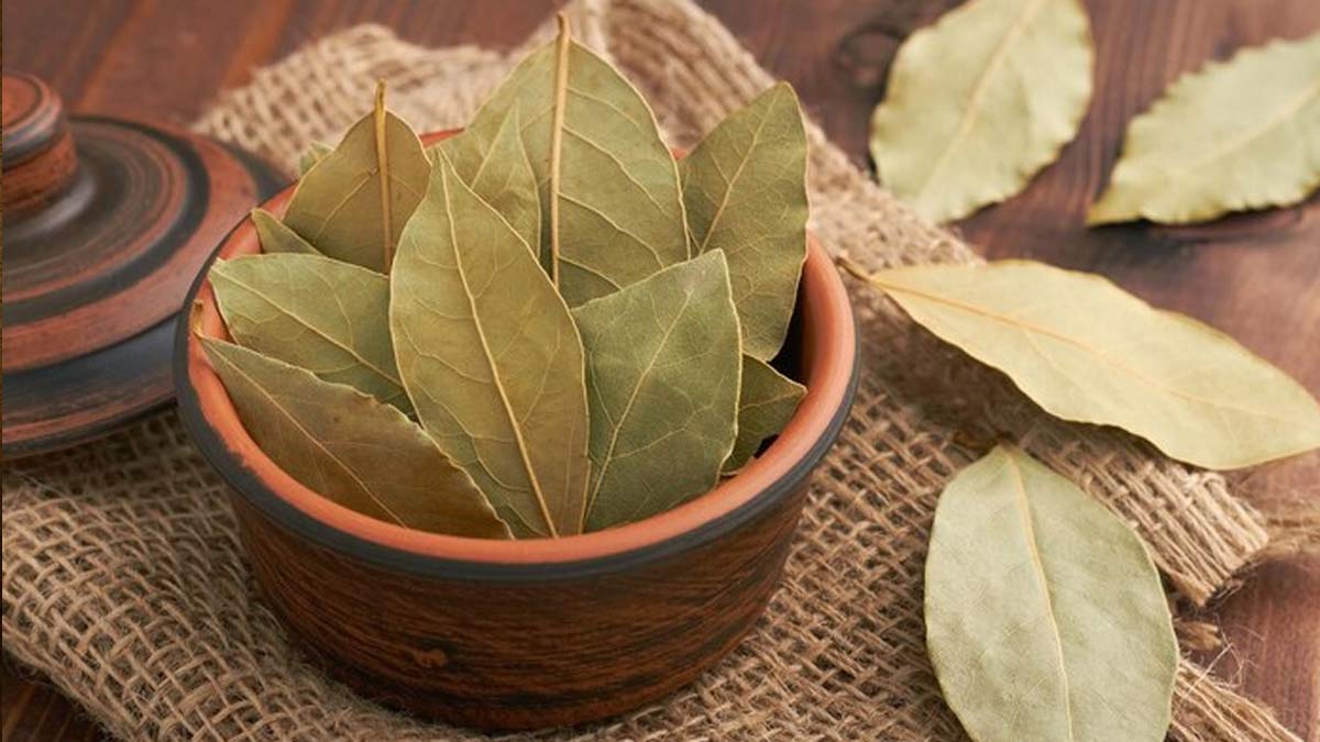 bay leaves to get rid of centipedes