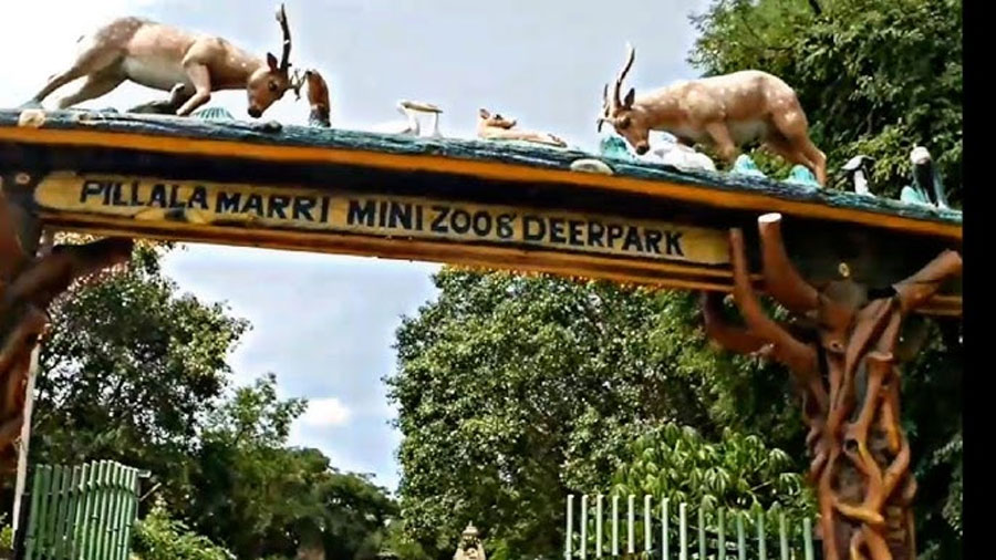 Pillalamarri Mini Zoo & Deer Park