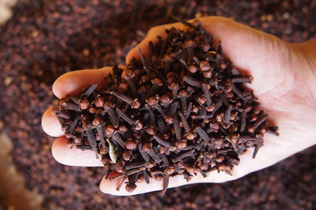 how to offer clove to goddess durga