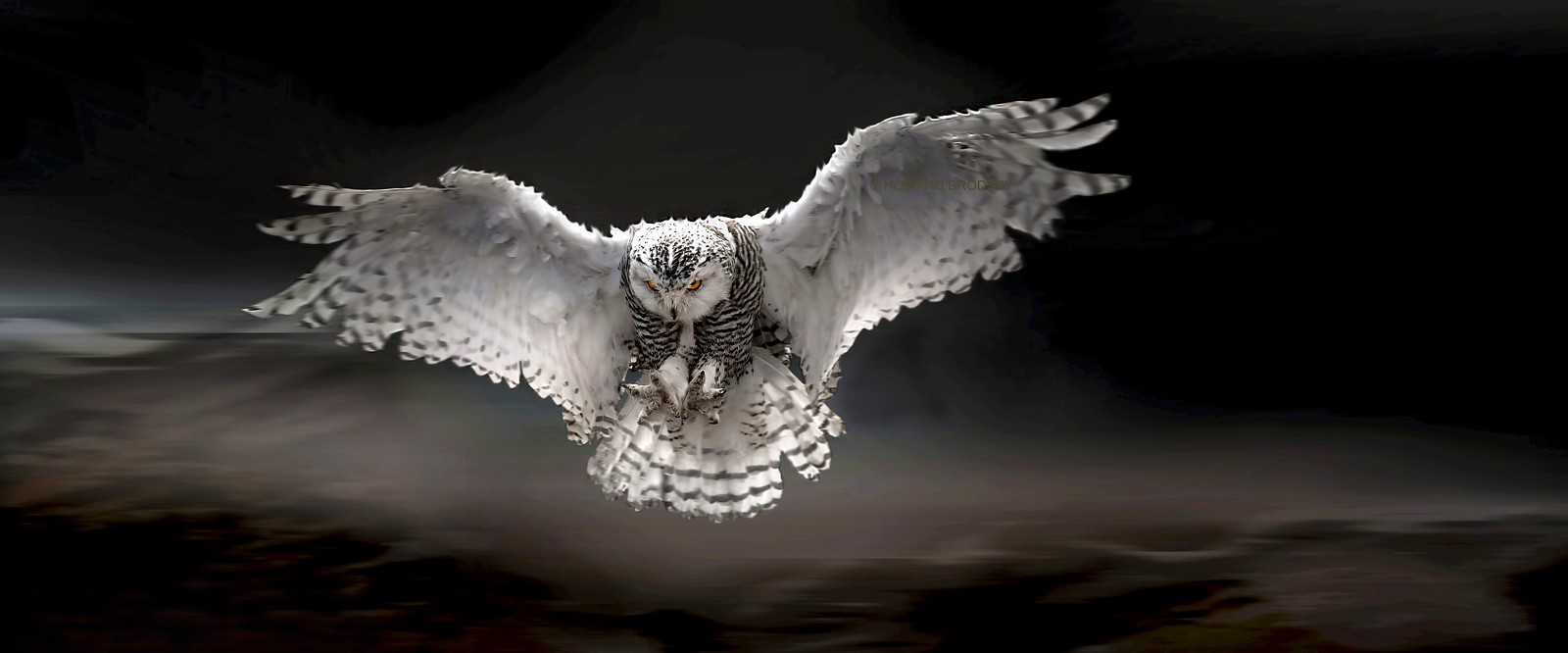 diwali ke din safed ullu dekhne ka kya matlab hai