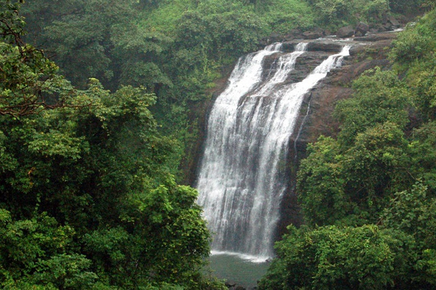 Tringalwadi waterfall
