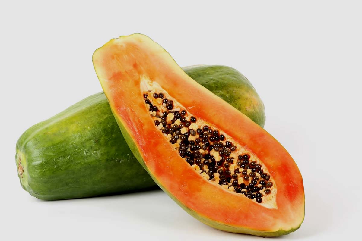 papaya for gut health