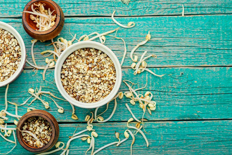 dal sprouting tips