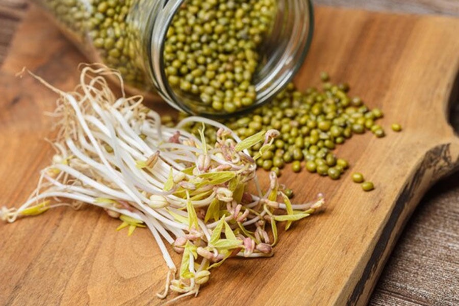 sprouts storing tips