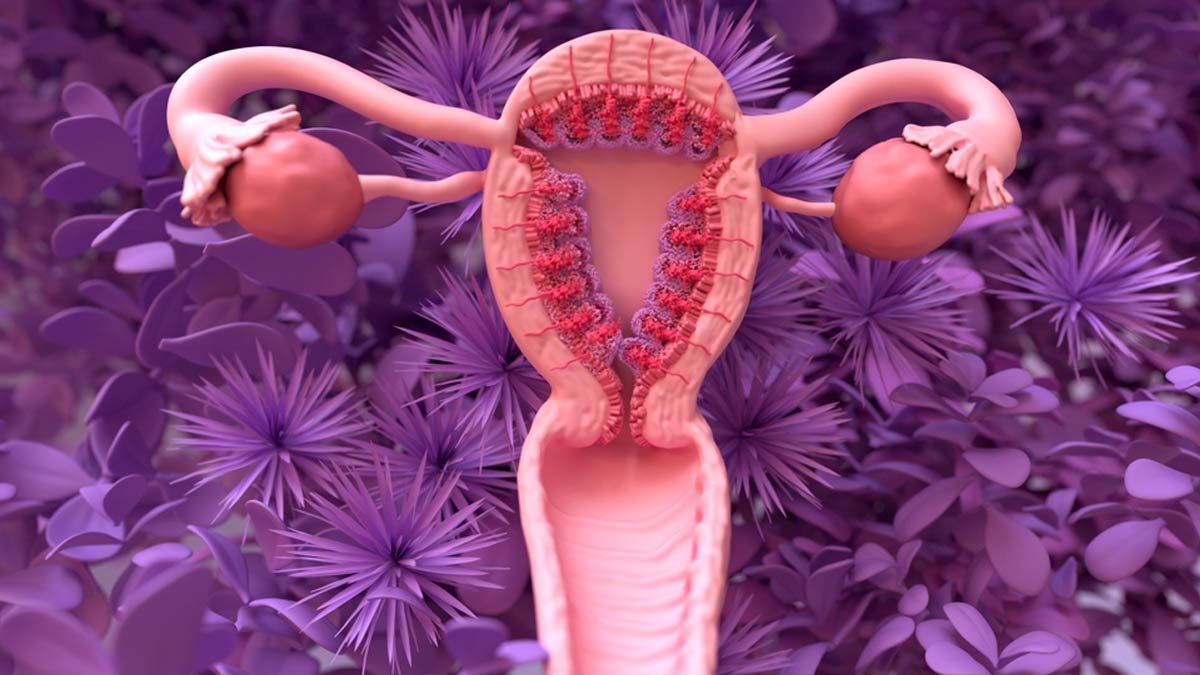 period blood and women health