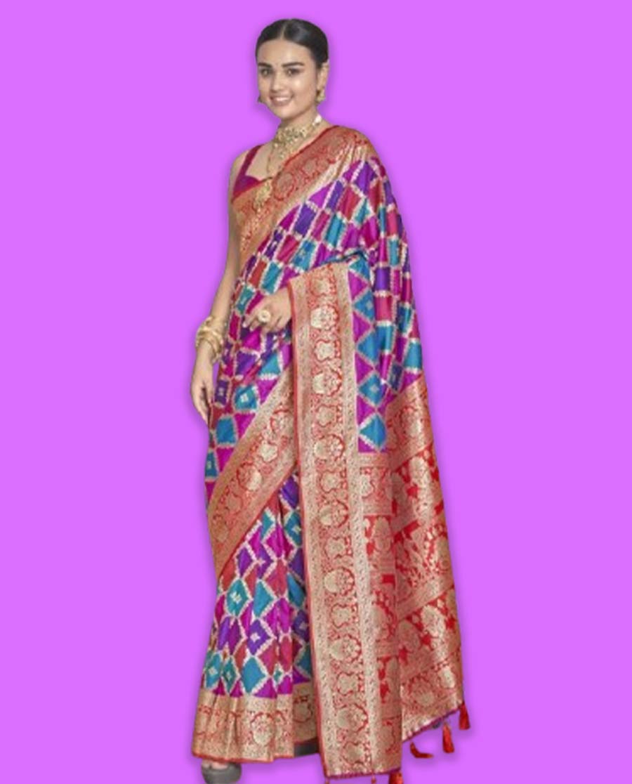 silk saree (2)