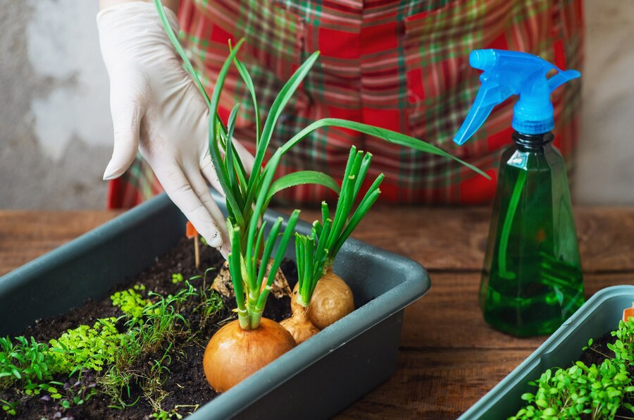 gud fertilizer making process