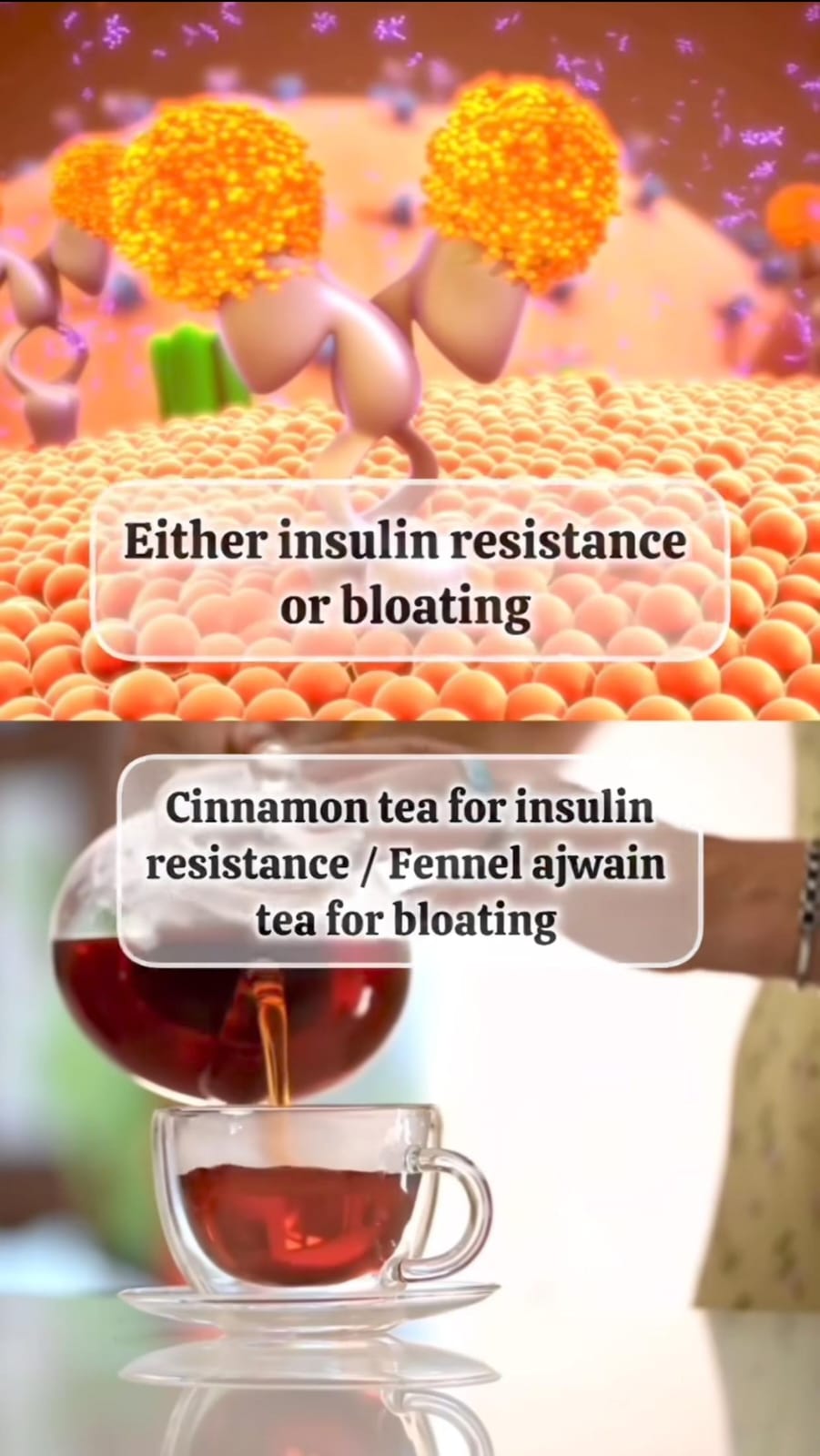 WhatsApp Image 2024-10-23 at 2.06.30 PM