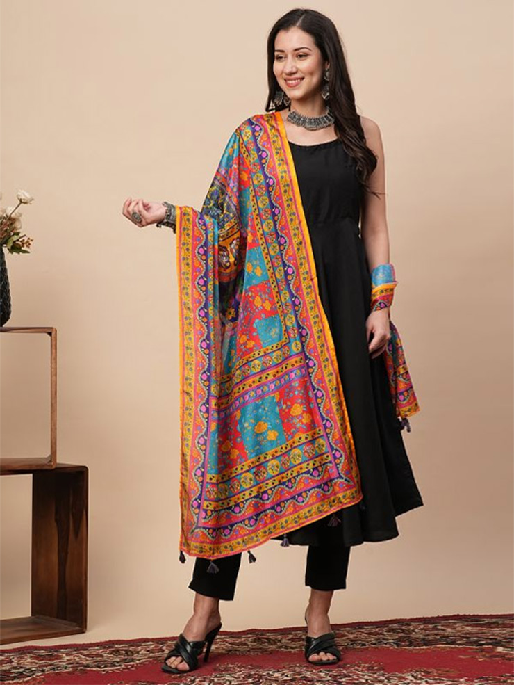 multi color dupatta (4)