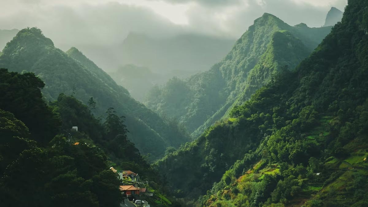 december tour packages from chandigarh