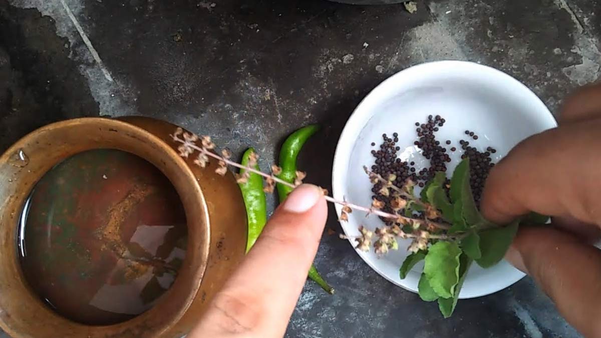 tulsi ki manjari ke upay