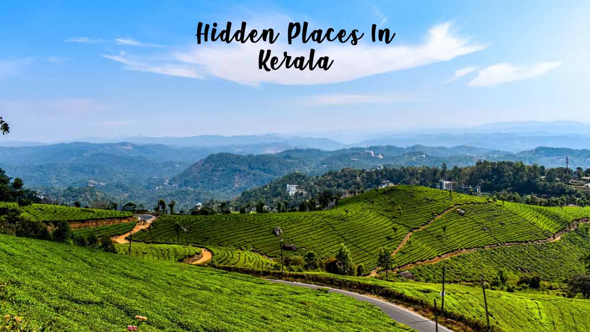 Hidden Gems Of Kerala: पीरमेड हिल स्टेशन घूम लीजिए, तो आधे केरल का ...