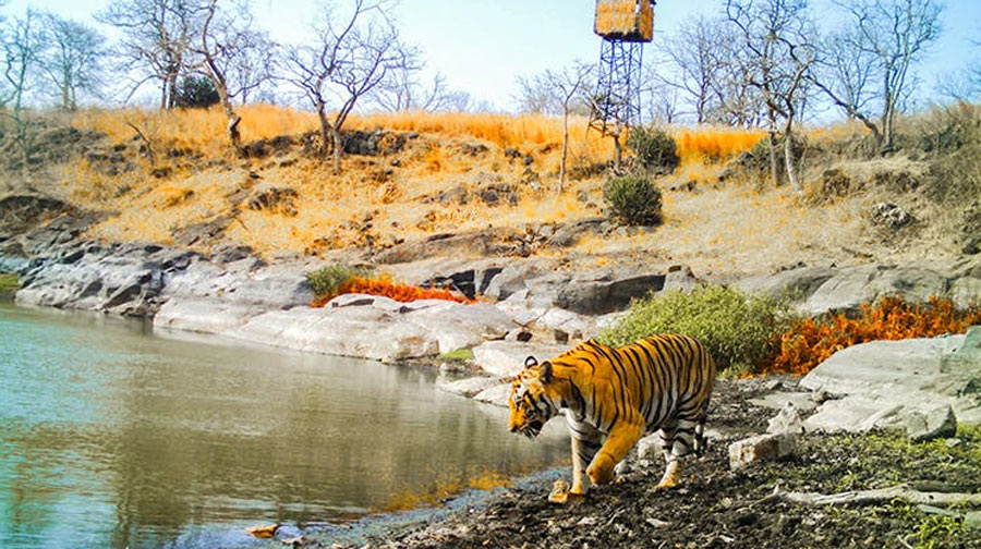 Yawal Wildlife Sanctuary