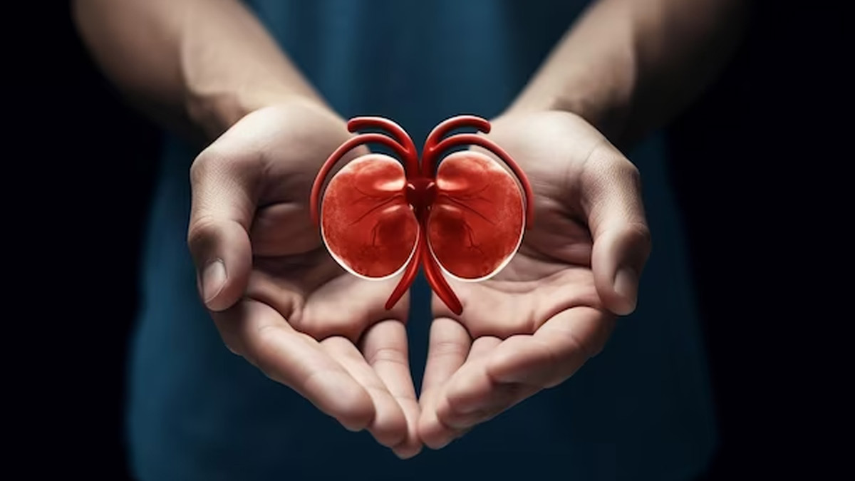 habits that can harm your kidneys