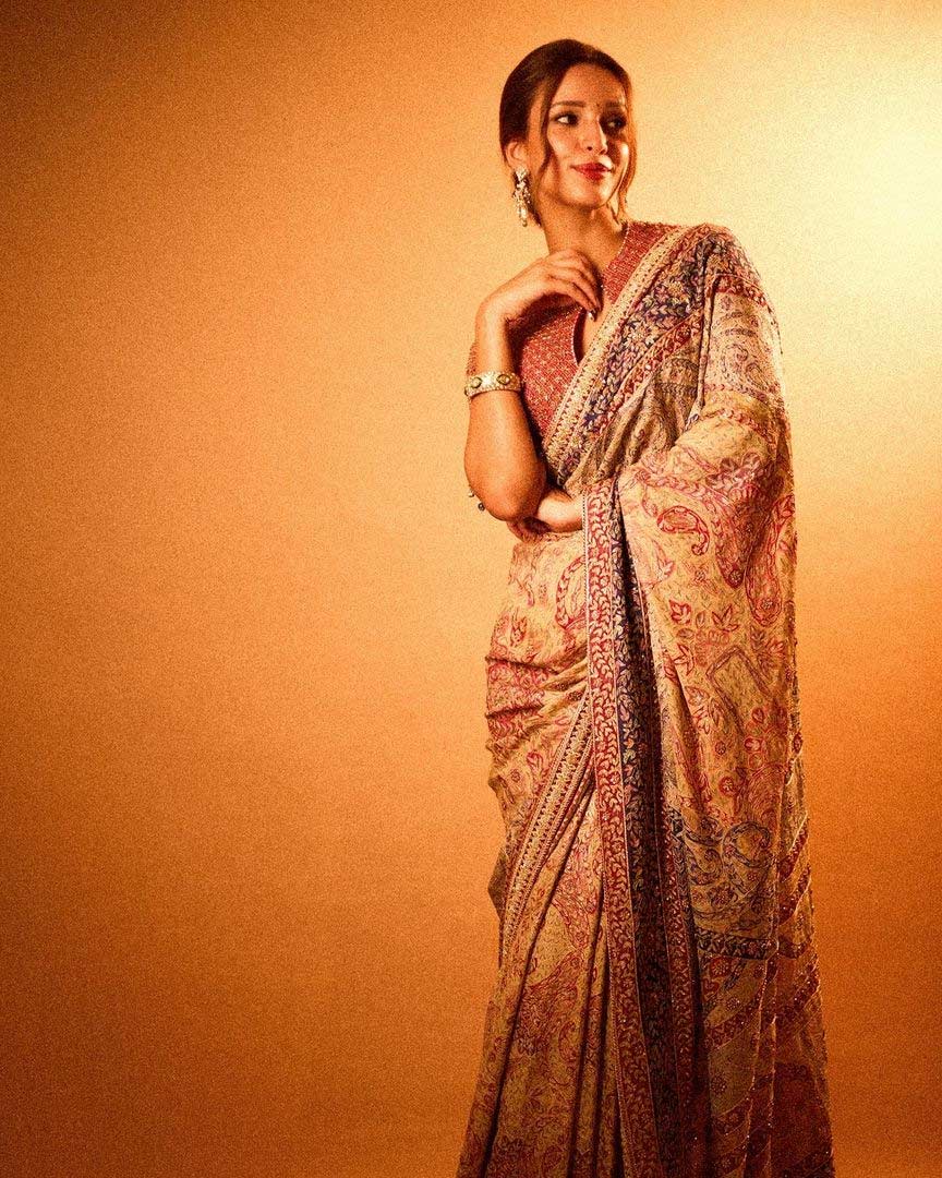 embroidery saree