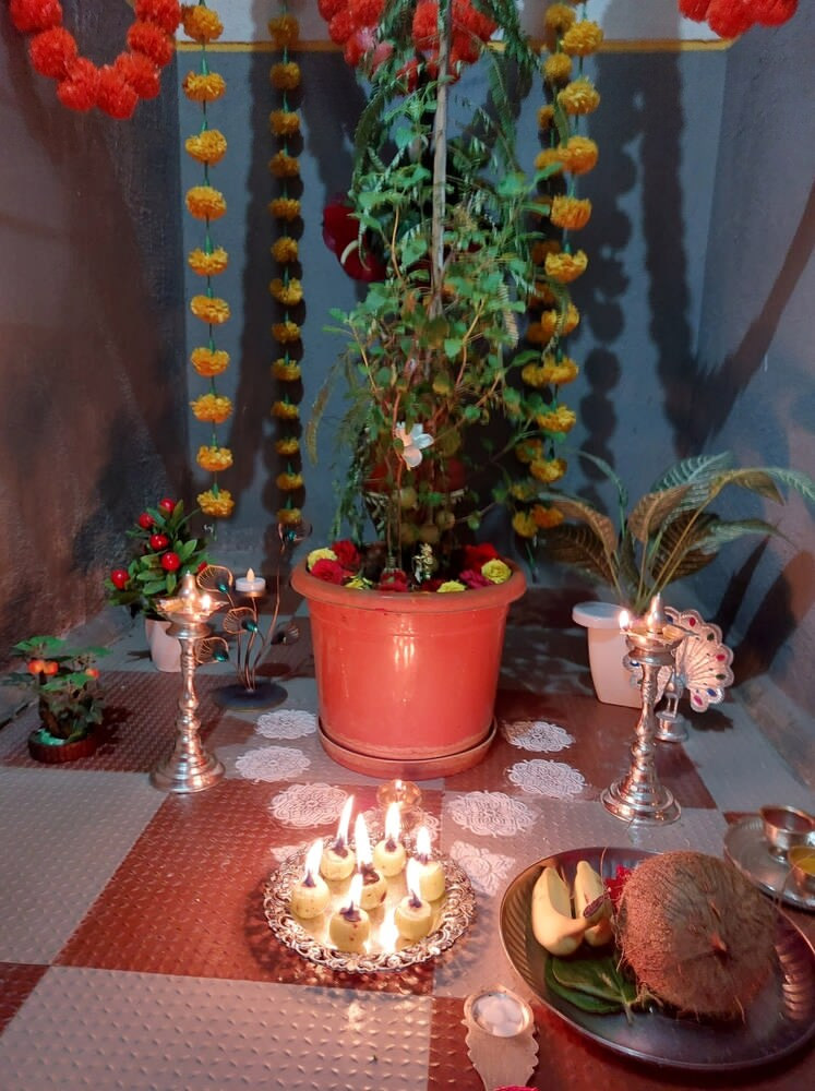 tulsi plant puja