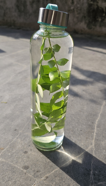 curry leaves water for health