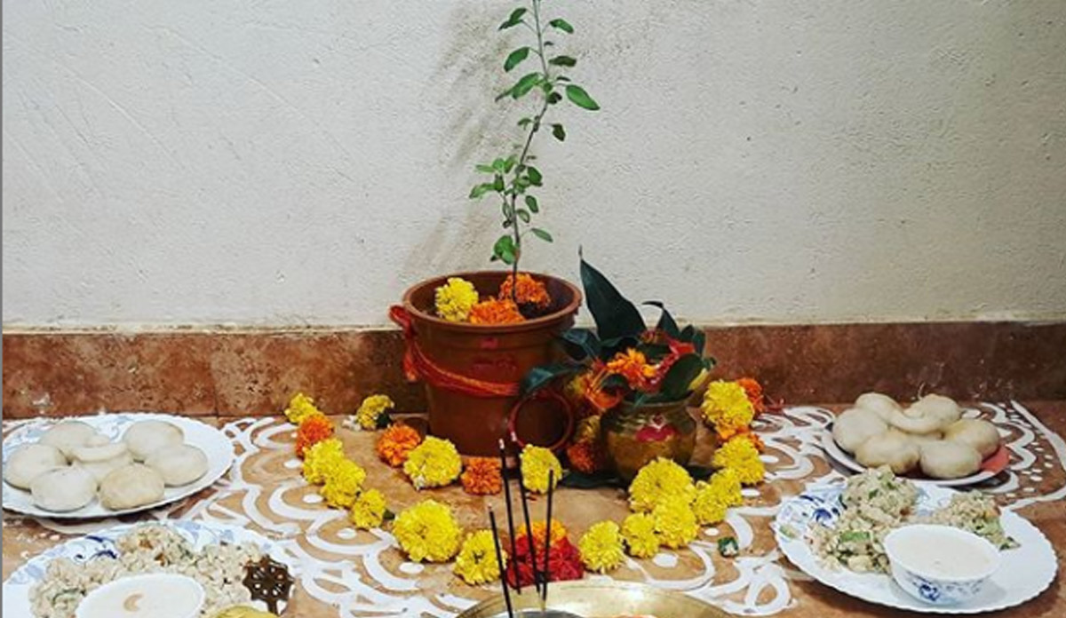 tulsi vivah pr tulsi ko kya bhog lagate hain