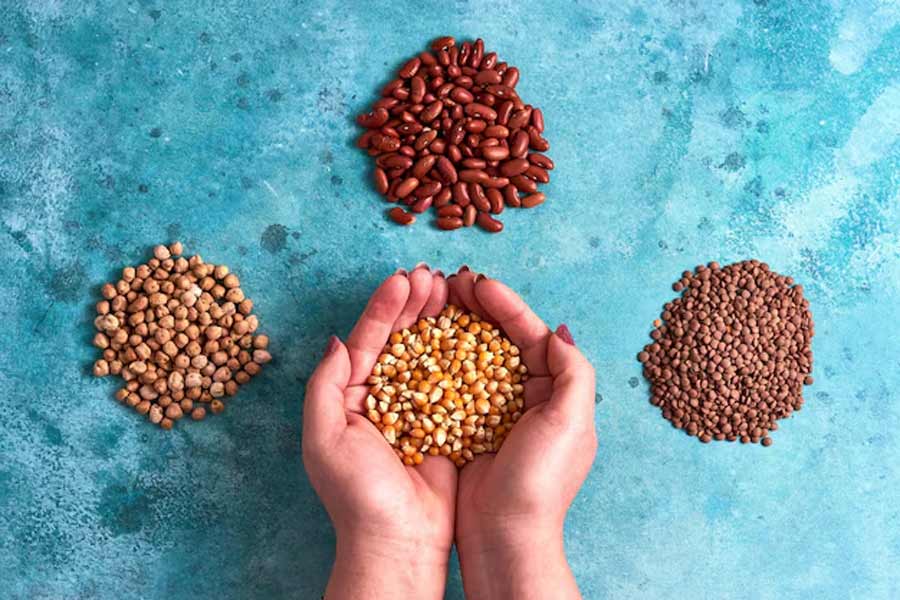 how to keep lentils bugs free with home hacks