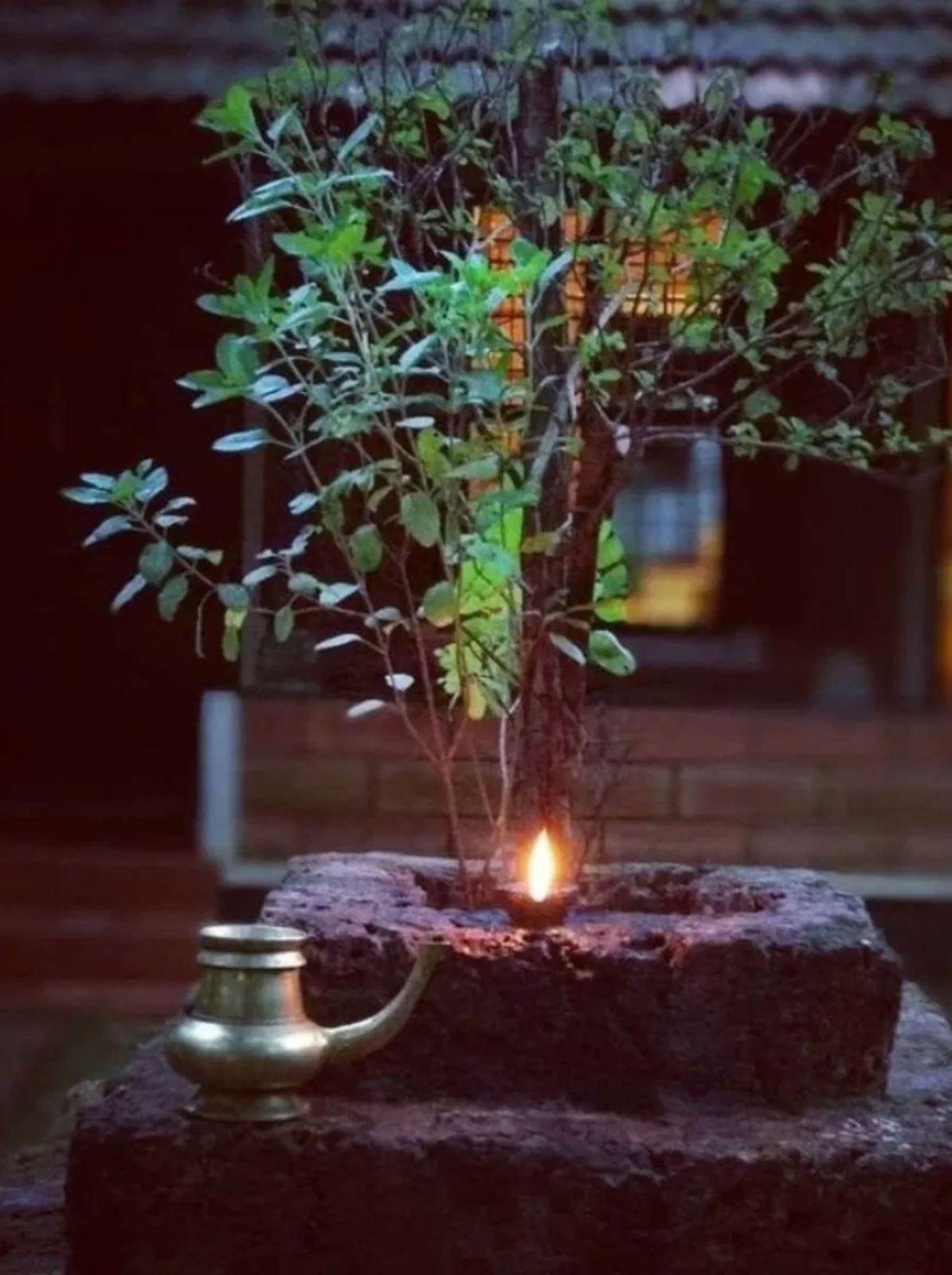 tulsi vivah ke din tulsi ke paas kaun sa diya jalaya jata hai