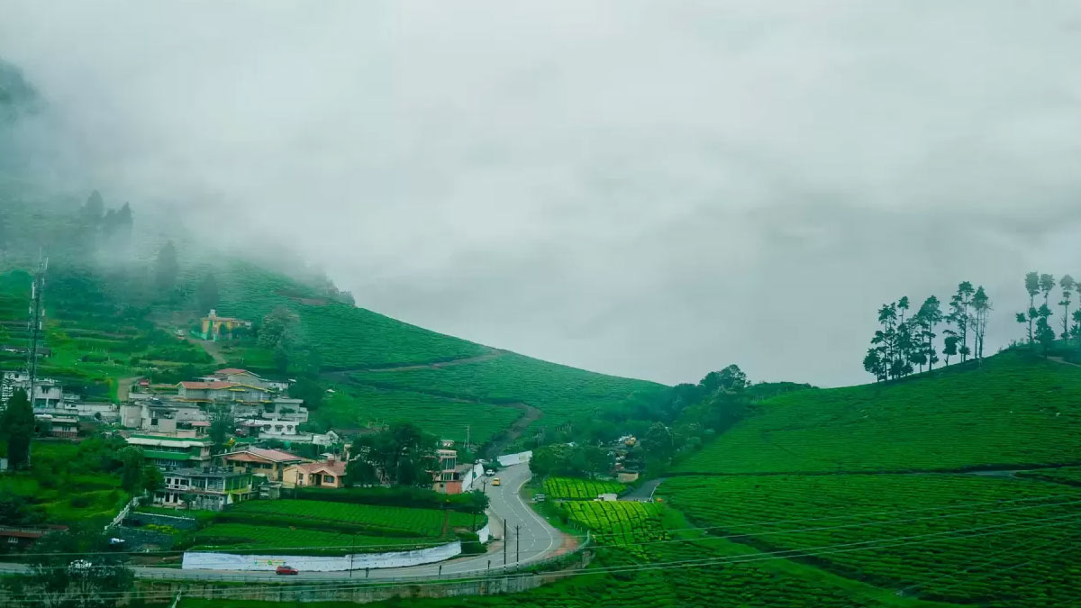 Ooty