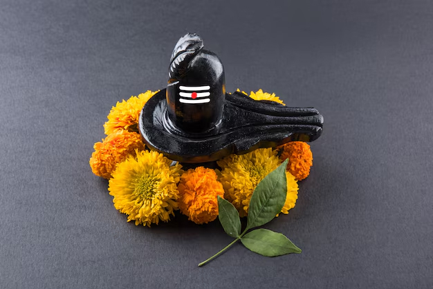 how to place shivling at home