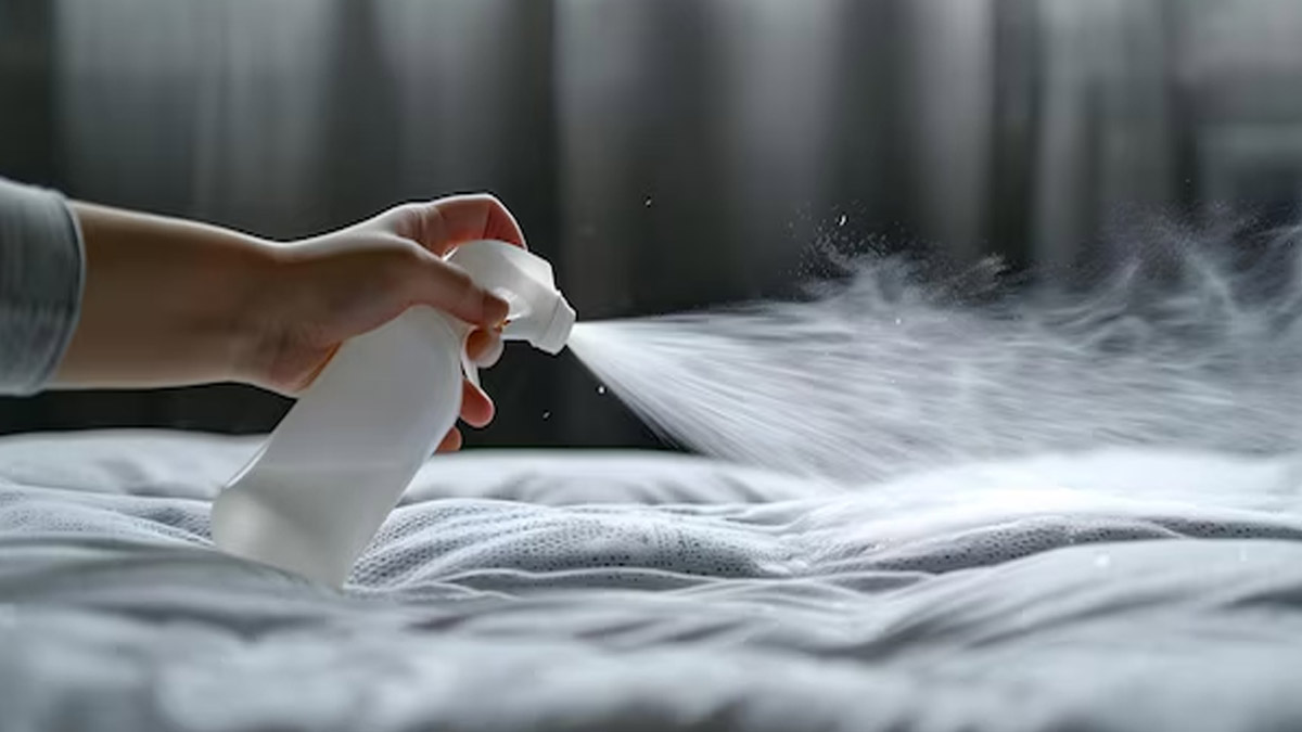 Aloe Vera and Mint Oil Spray