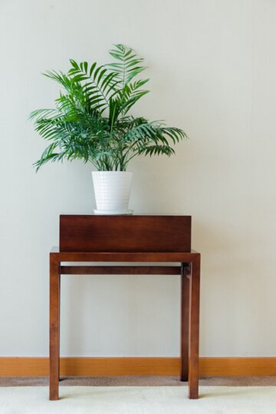 Plant stand from waste materials