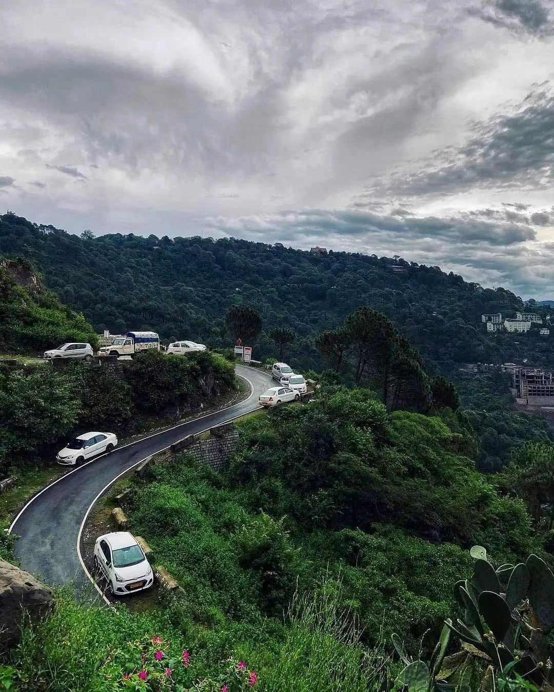 Kasauli